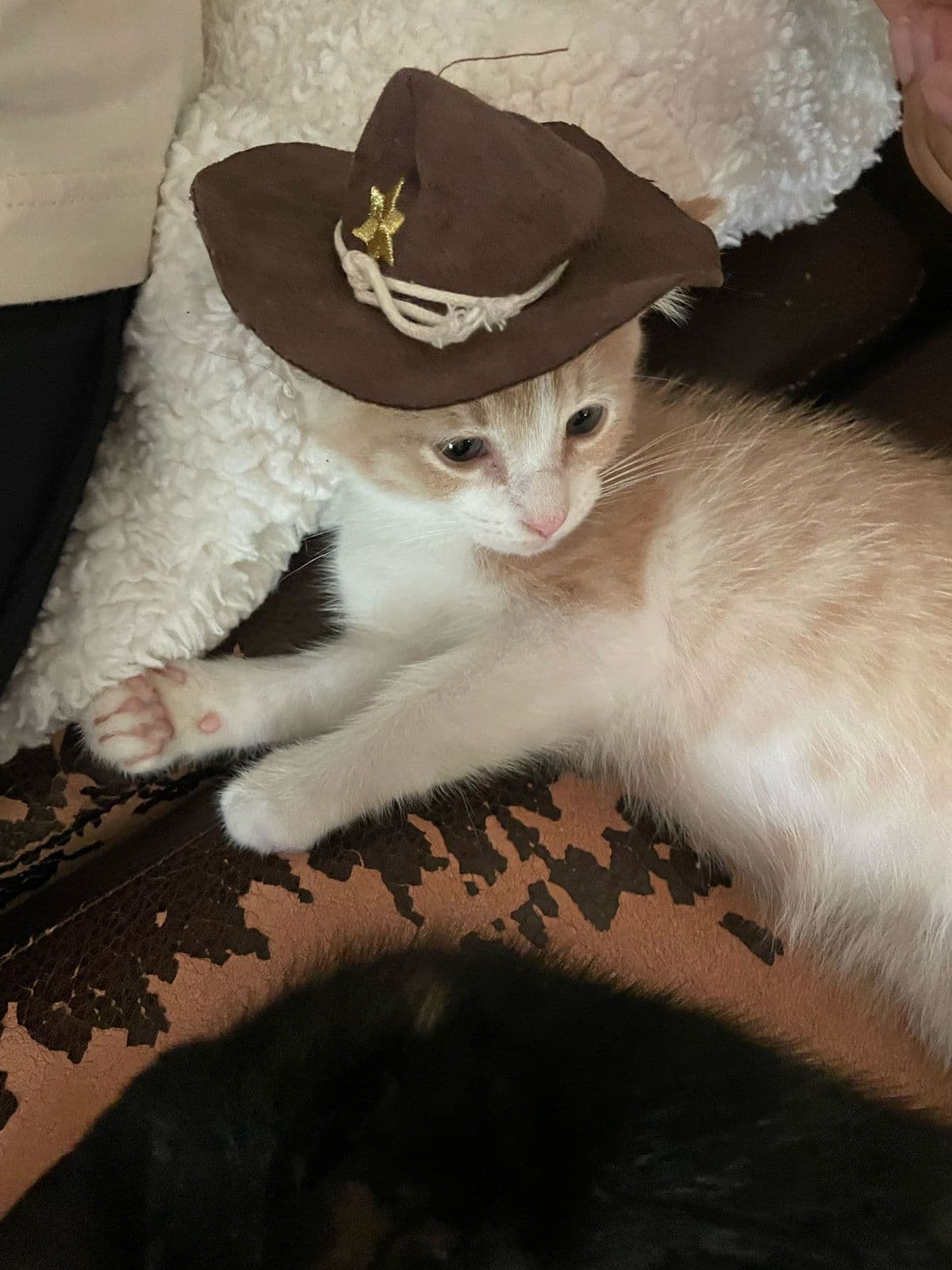 Captain Fluffernutter